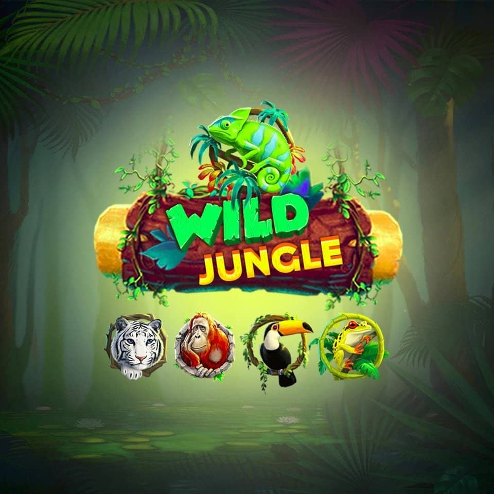 5pbet login