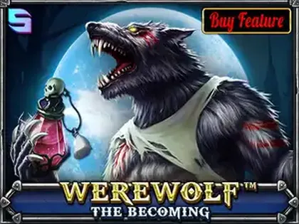 betwinner